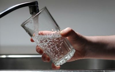 Microplastiche nell’acqua potabile, l’OMS: “Servono dati per valutarne i rischi”
