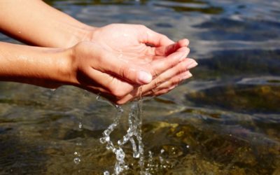 Arsenico nelle falde acquifere: 220 milioni di persone al mondo esposte al rischio di contaminazione