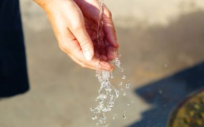 Una persona su quattro non beve acqua dal rubinetto. Il motivo? Non si fida