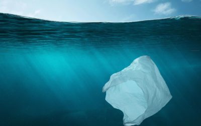 Rifiuti in mare: firmato accordo tra Ministero dell’Ambiente e Corepla