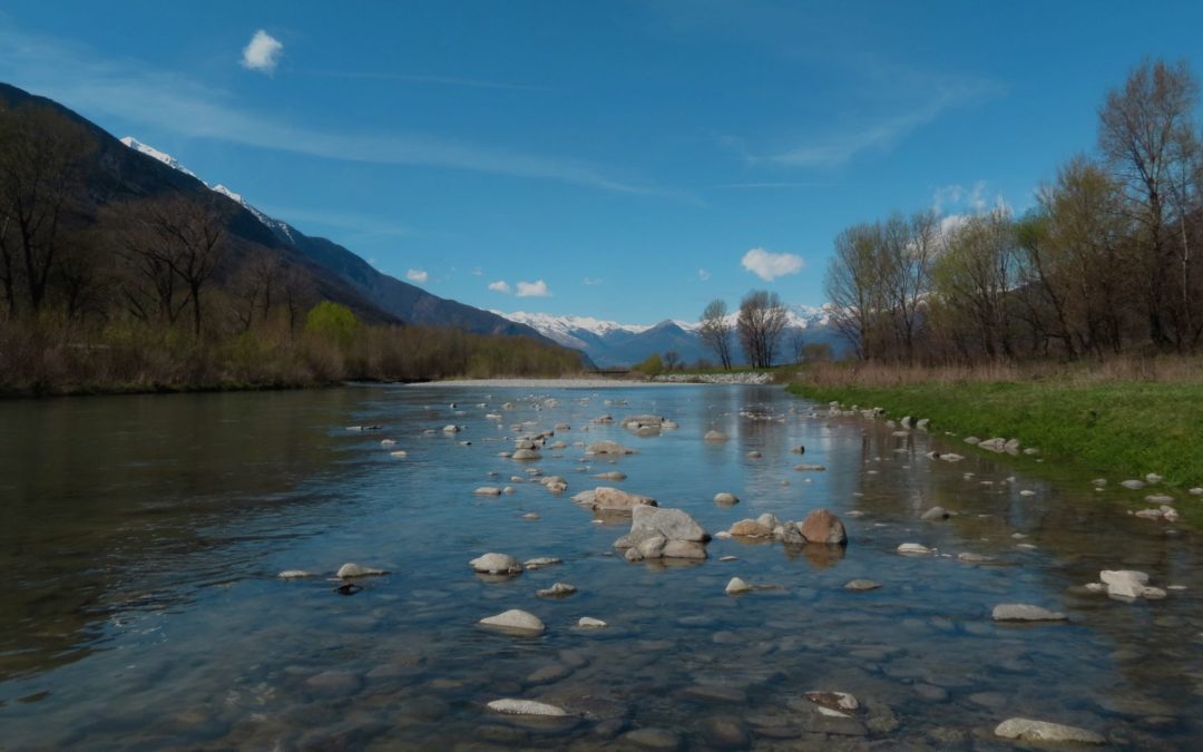 sos fiumi