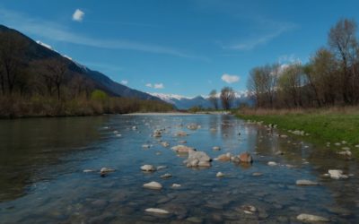 Sos fiumi: il dossier del WWF sugli ecosistemi fluviali nel nostro Paese
