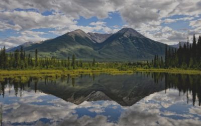 Risorse naturali a rischio a causa della globalizzazione? Lo studio