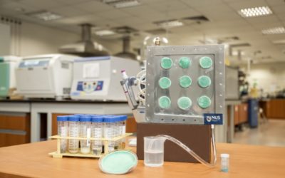 Reperire acqua potabile dall’aria senza batteria: il gel ideato dall’Università di Singapore
