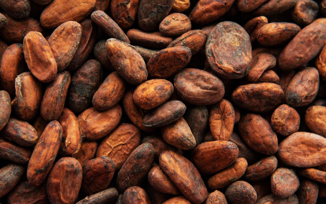 ferrero cacao sostenibile
