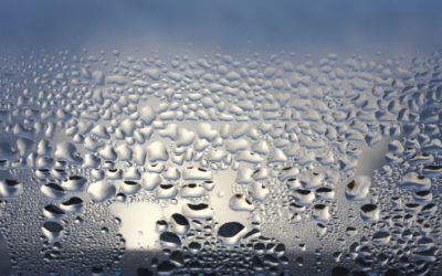 Estrarre acqua potabile da umidità senza energia: l’innovativa scoperta svizzera