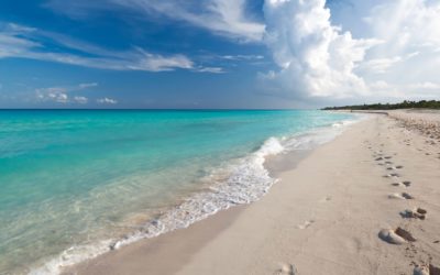 Medsea, la community di aziende sarde per la tutela del mare e dell’ambiente: il progetto