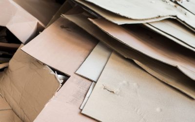 Riciclo carta, Italia anticipa e supera di 15 anni l’obiettivo UE