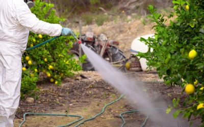Troppi pesticidi nelle acque italiane, il rapporto ISPRA: “Superati i limiti europei”