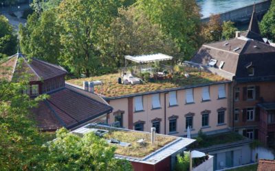Tetti green e infrastrutture verdi per la rigenerazione ecologica delle città: lo studio ENEA