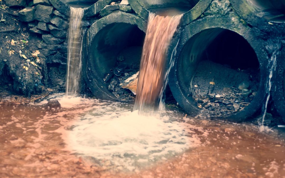 trasformare fanghi biogas