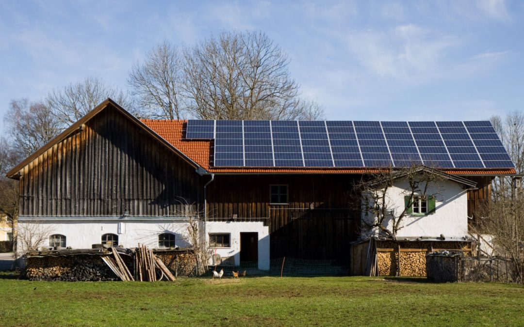 fotovoltaico agroalimentare