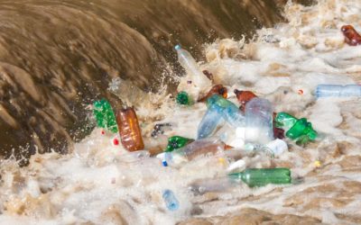 Plastica nei fiumi: le soluzioni di una startup per ridurre l’inquinamento marino