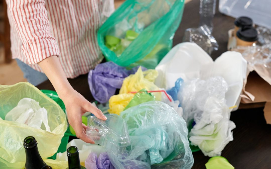 rifiuti plastici insetti lombrichi