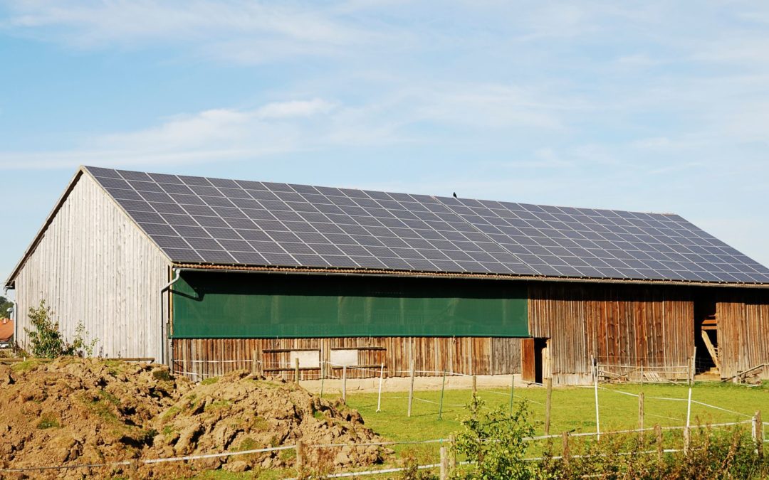 agrivoltaico