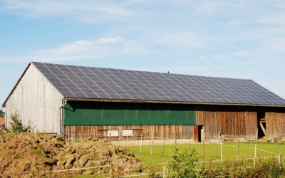 Agrivoltaico, pubblicato il bando. Coldiretti: “Previsti impianti fotovoltaici su 20mila stalle”