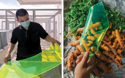 Pannelli solari ricavati dagli scarti delle verdure: ecco AuREUS