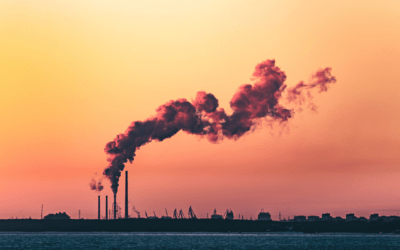 Nuovo regolamento UE: ridurre le emissioni di gas serra