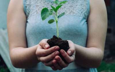 Giornata dell’Ambiente 2023: un appello globale per un pianeta sostenibile